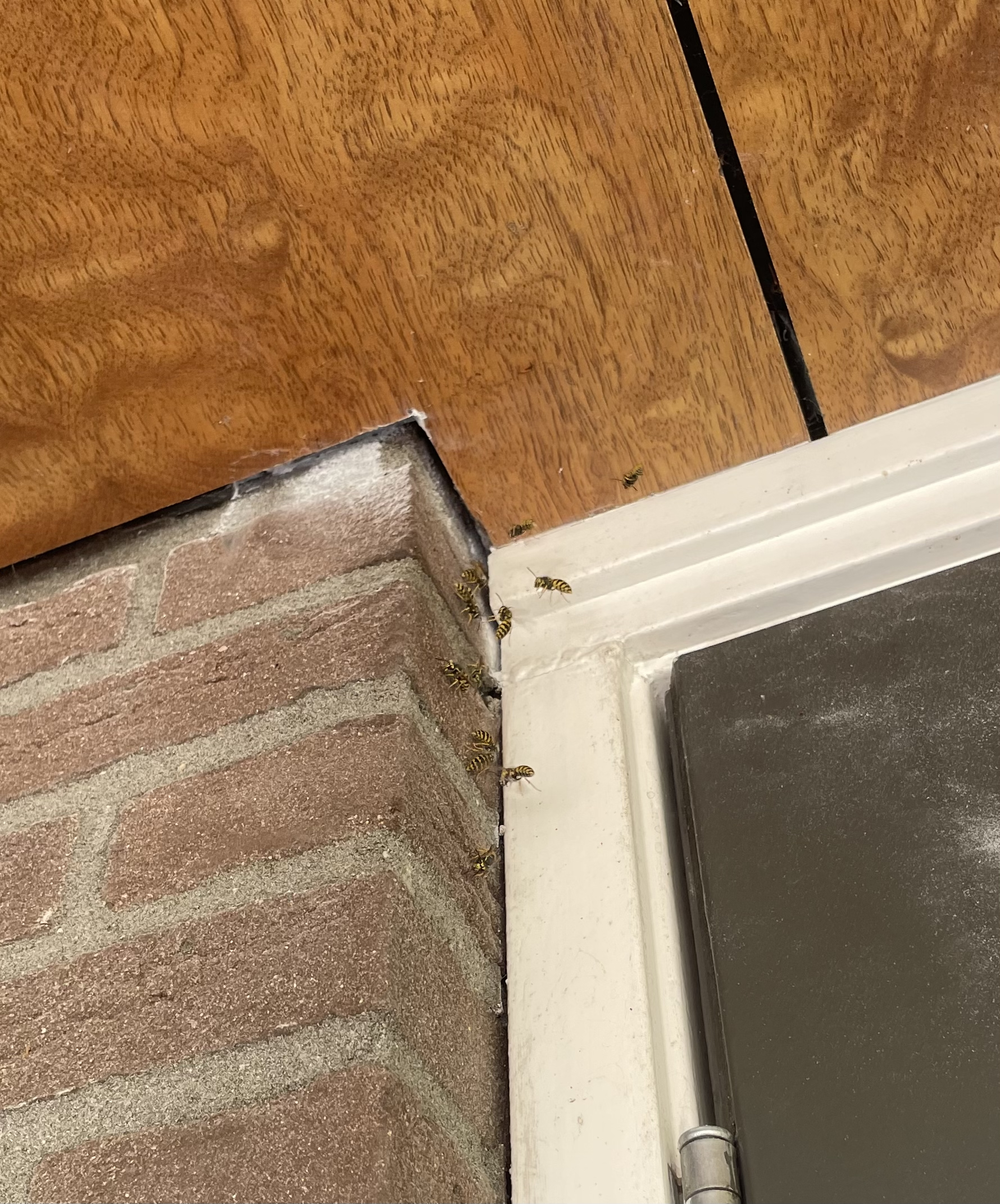 Invliegopening bij raam/garage – voorbeeldsituatie