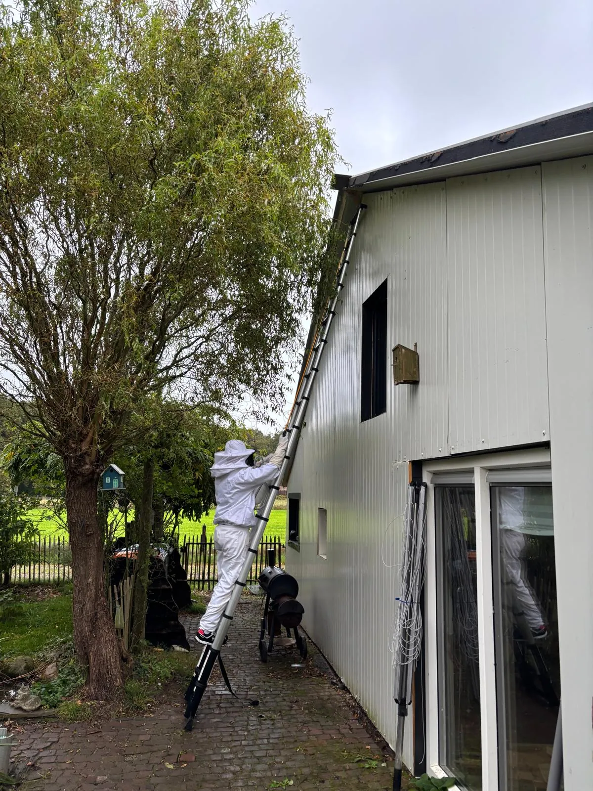 Wespenbestrijding Raalte