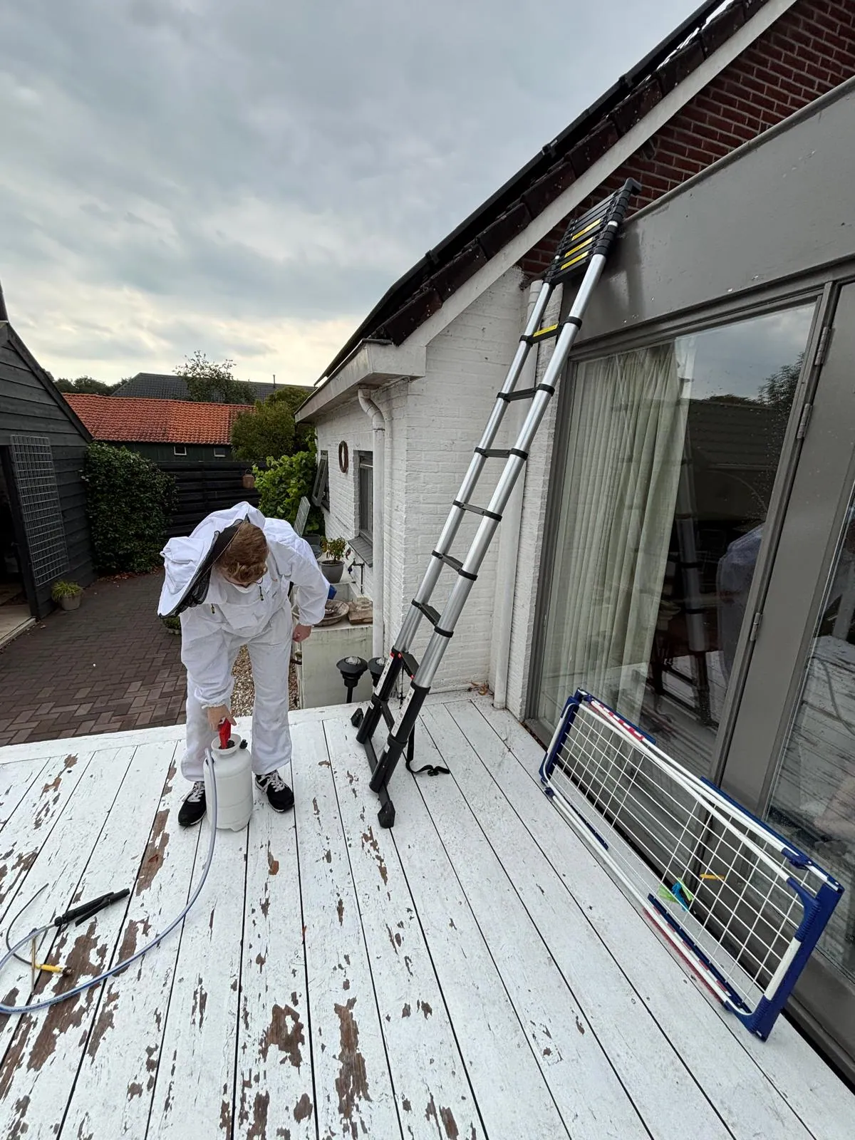 Wespenbestrijding Dedemsvaart