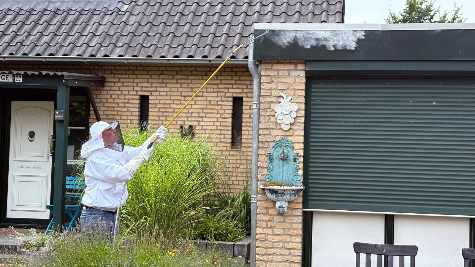 Wespenbestrijding Hardenberg