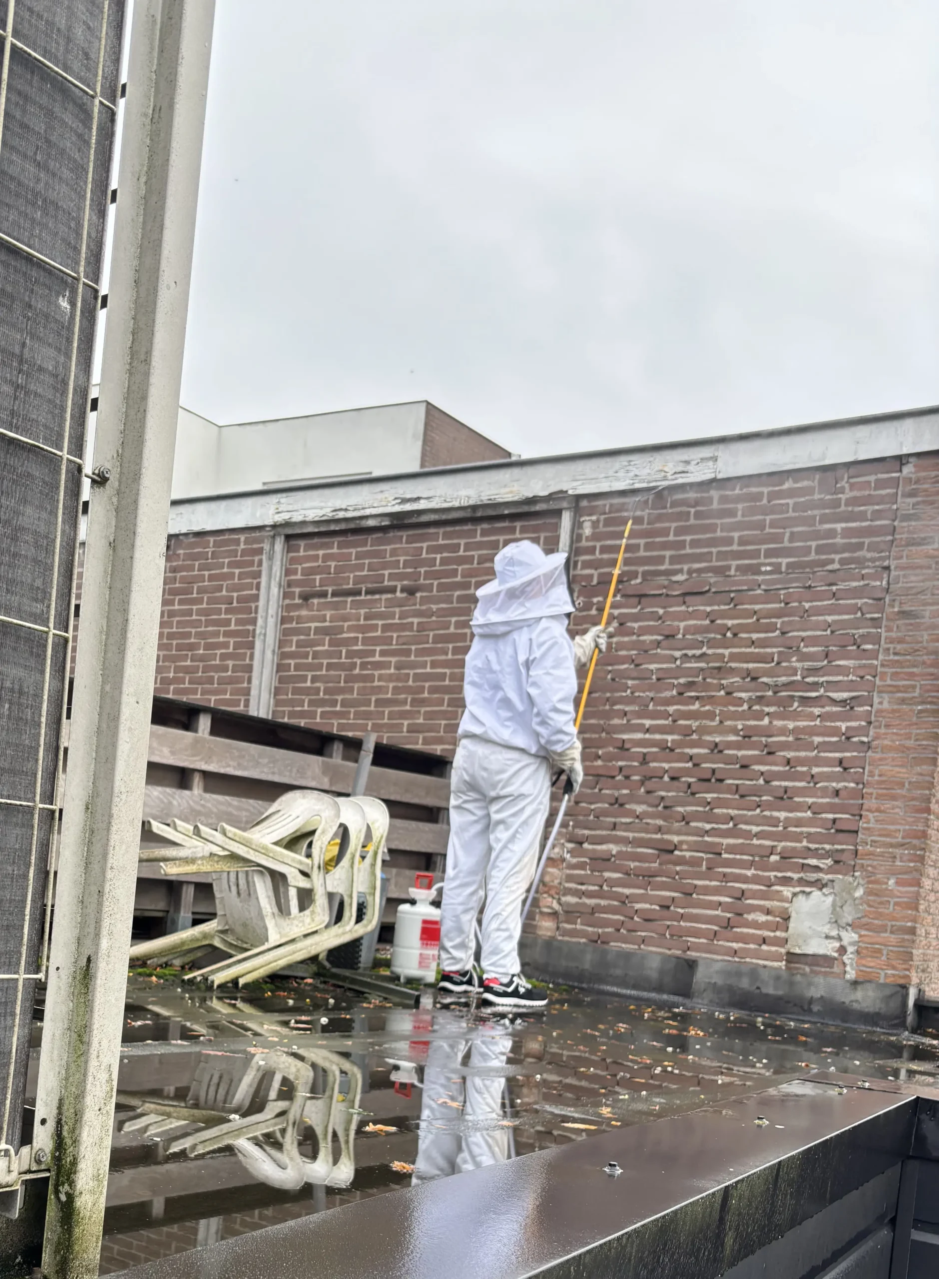 Foget ongediertebestrijding in Zwolle aan het werk