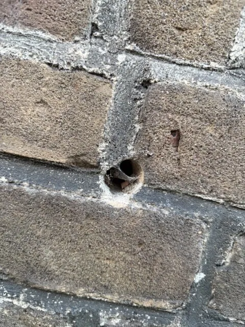 gat in de muur muizen